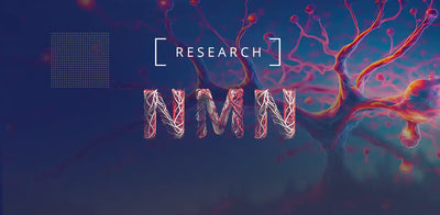 Ny NMN-studie: En lösning mot inflammation i celler
