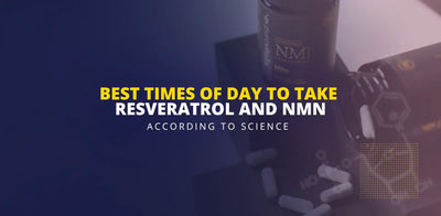 De bedste tidspunkter at tage resveratrol og NMN på - ifølge videnskaben