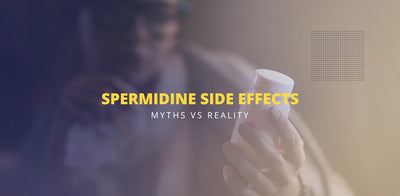 Spermidin-bivirkninger - myter vs. virkelighed