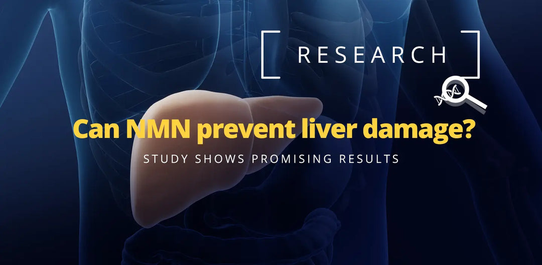 nmn-leverskader, nmn-tilskud viser lovende resultater mod leverskader.